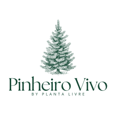 Pinheiro Vivo 2025 Plantalivre
